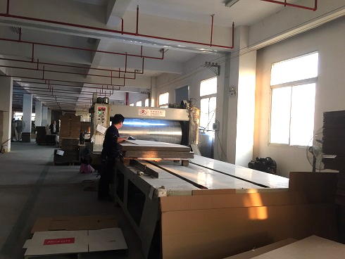 《一口气看完偷渡的女人》午夜高清完整版7