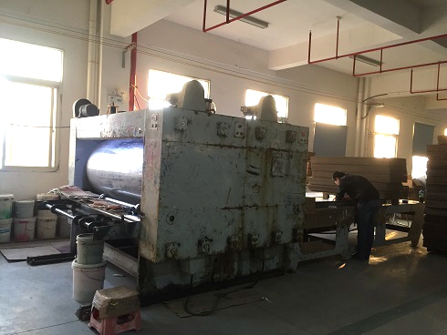 《一口气看完偷渡的女人》午夜高清完整版5