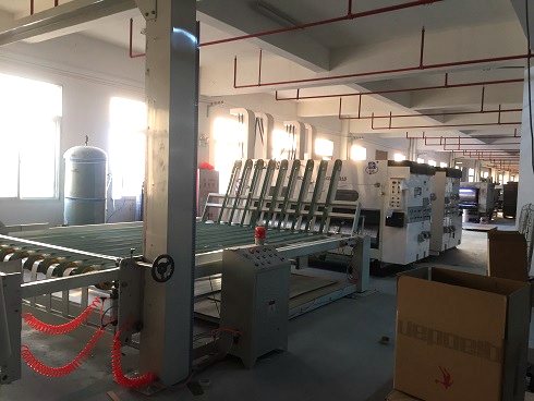 《一口气看完偷渡的女人》午夜高清完整版2